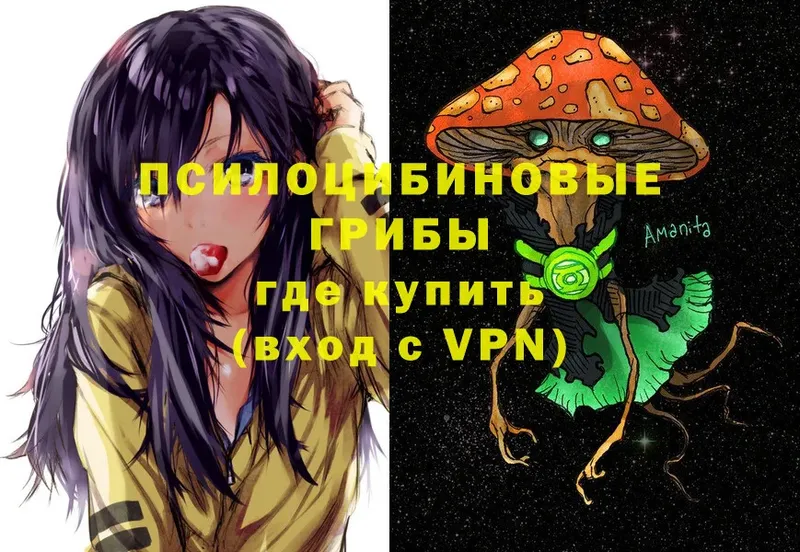 blacksprut онион  Новая Ляля  Галлюциногенные грибы MAGIC MUSHROOMS 