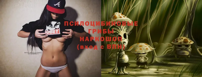 Псилоцибиновые грибы MAGIC MUSHROOMS Новая Ляля